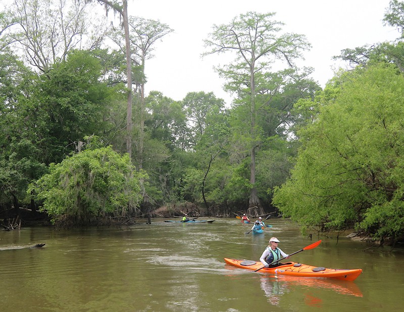 Pam kayaking with other paddlers behind her