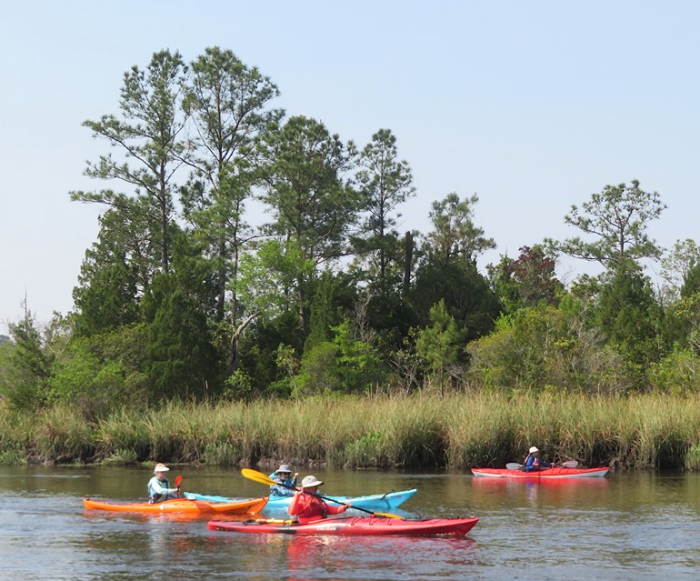 Four kayakers paddling in front of trees