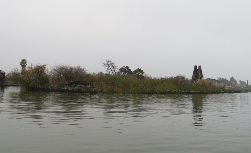 Overgrown shipwreck