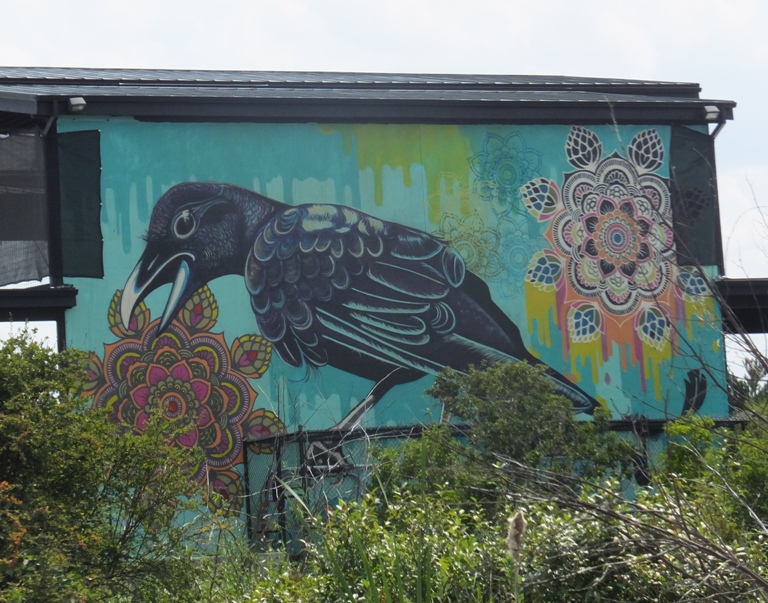 Bird art