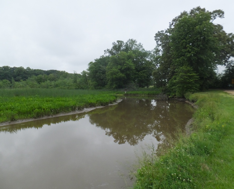 Small tributary