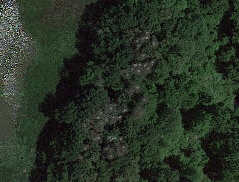 Satellite photo showing rookery