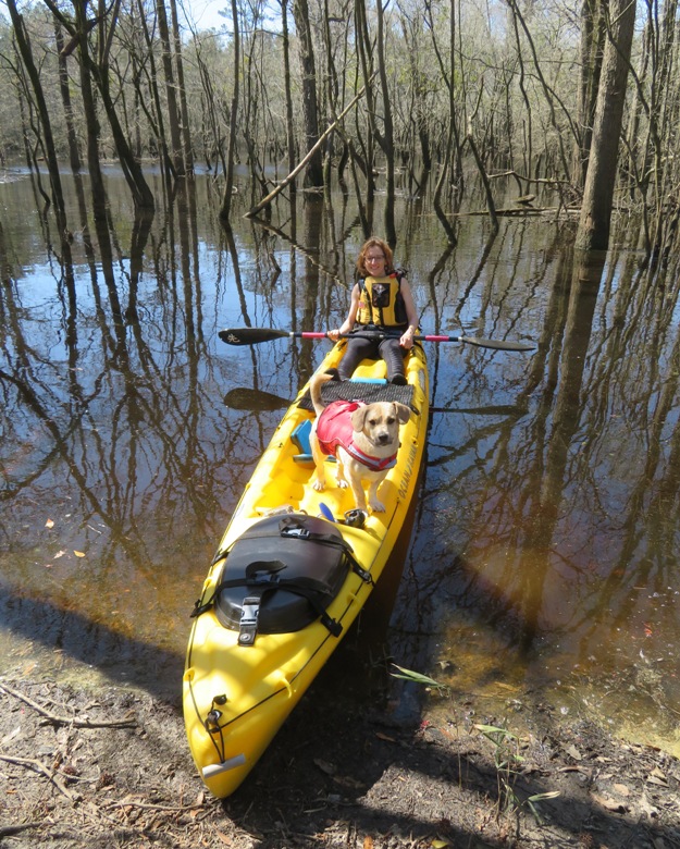 Norma and Daphne on kayak on dead end tributary