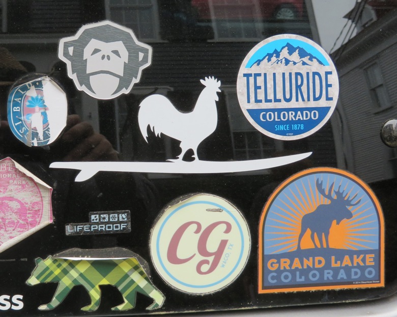 Chicken on SUP sticker