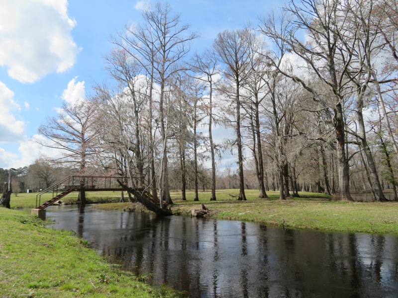 Where we launched on the White Oak River