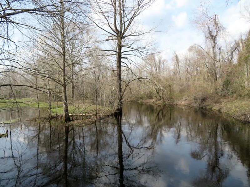 View of river