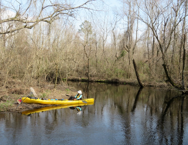 Norma taking a nap on the kayak