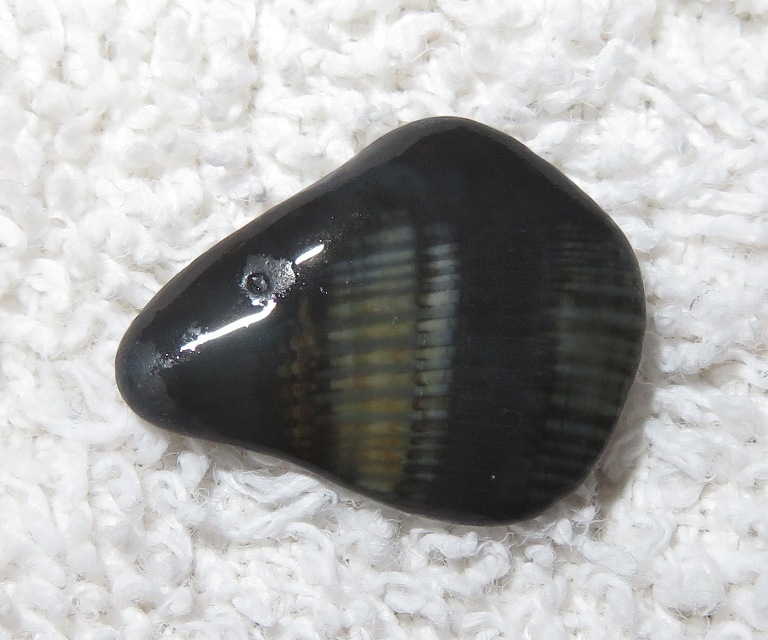 Interesting rock that Norma found