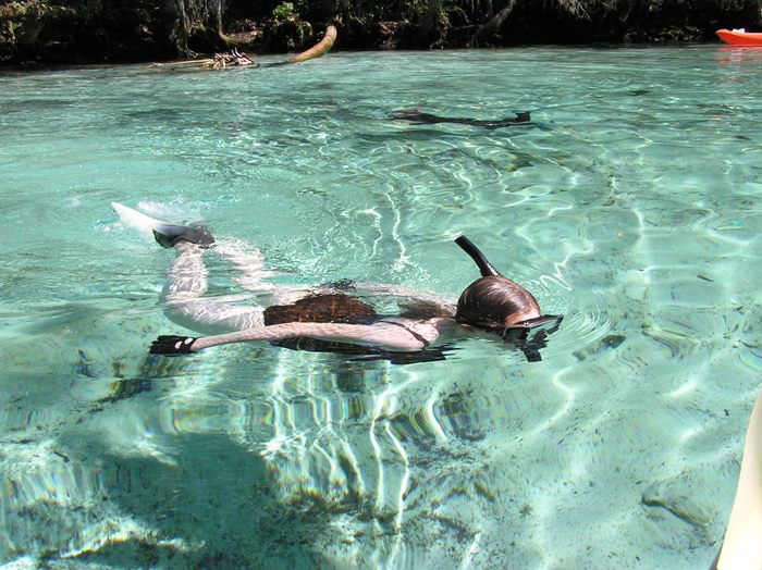 Norma snorkeling in clear spring