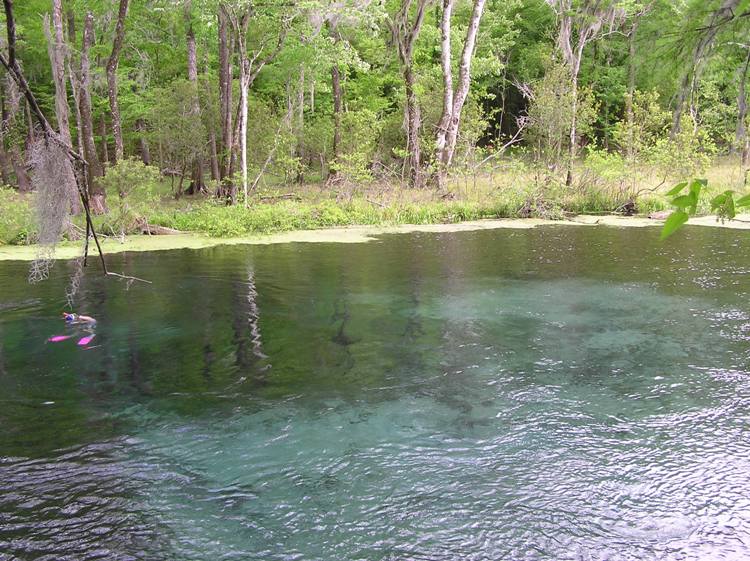Blue Hole Spring