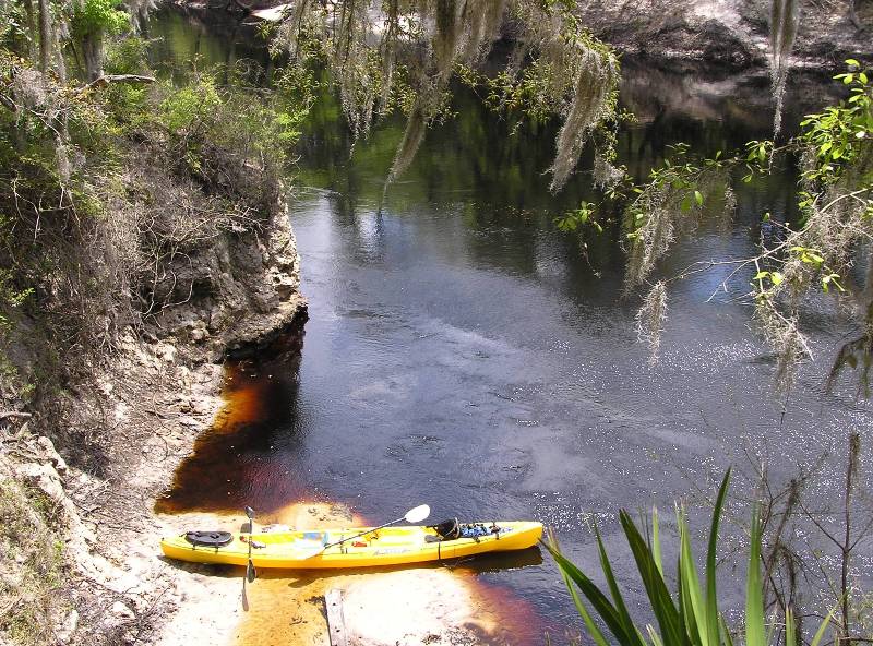 The dark waters of the Suwannee
