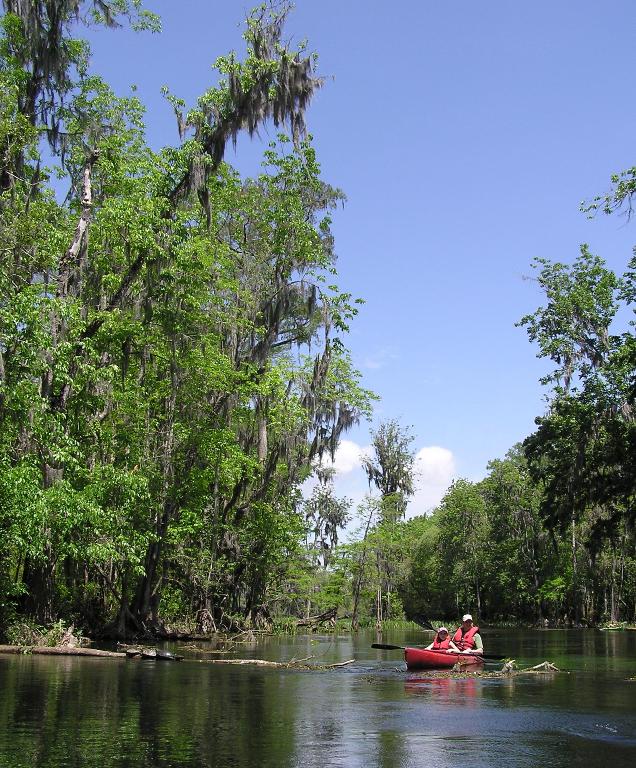 Two kayakers on the Ichetucknee River