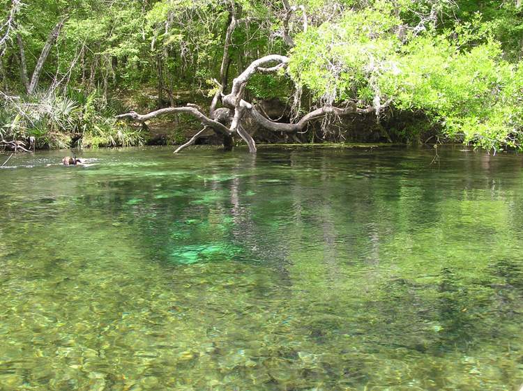 Devil's Eye spring
