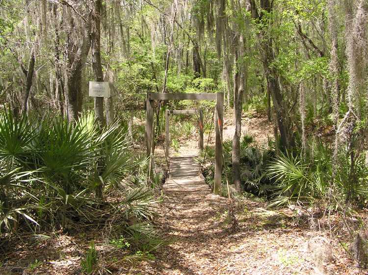 Footbridge