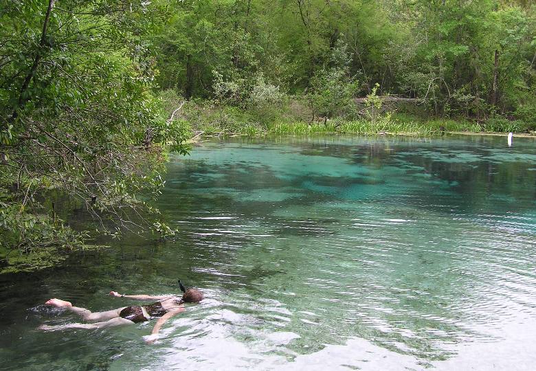 Norma swimming in Ichetucknee Head Spring