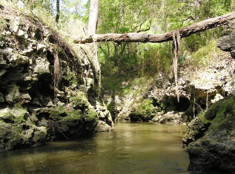 High walls of spring-fed stream