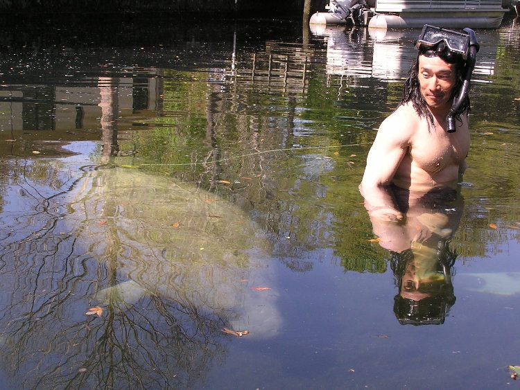 Me standing in the water next to a manatee