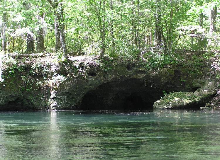 Mini-cave on the Ichetucknee River