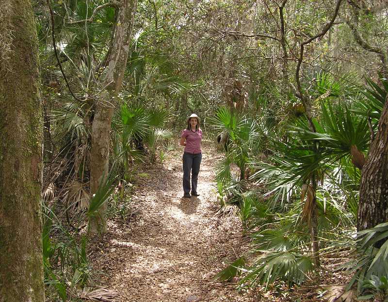 Norma surrounded by palms