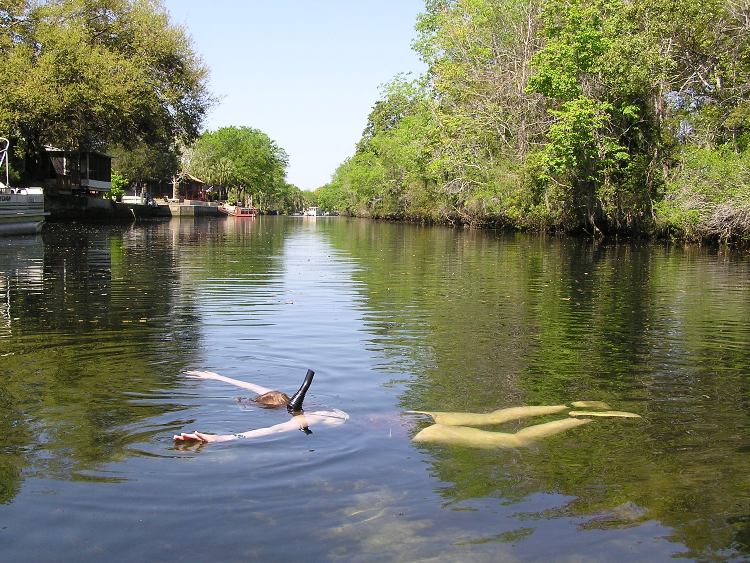 Norma floating on top of the water