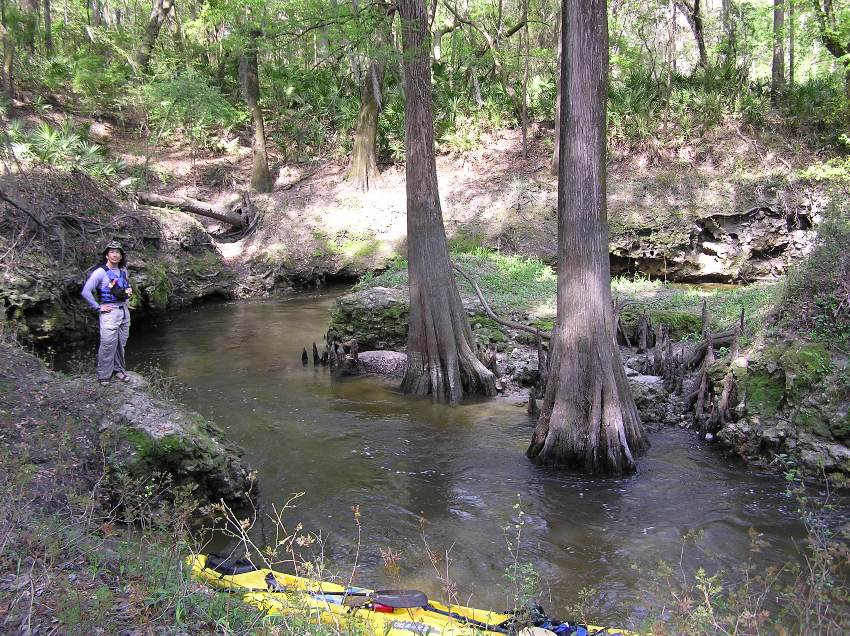 My on the shore of a fast flowing spring-fed stream