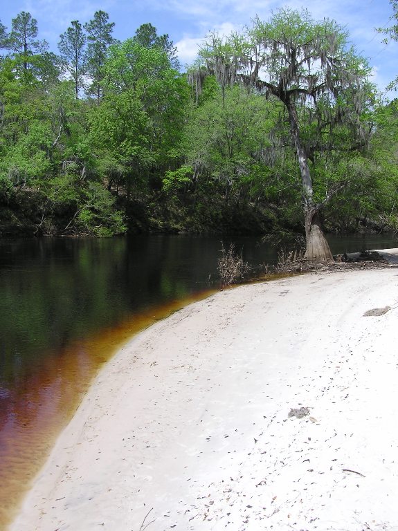 White sands and dark water