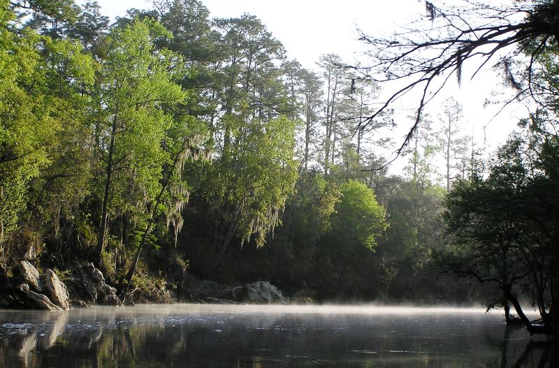 Mist over the Suwannee River