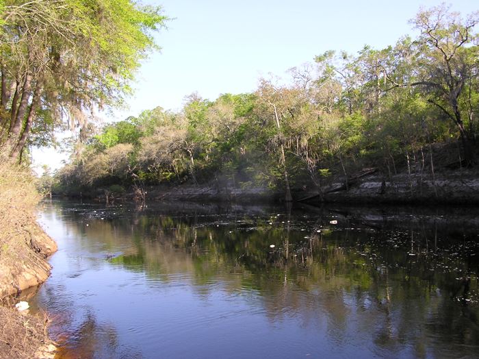 Suwannee River