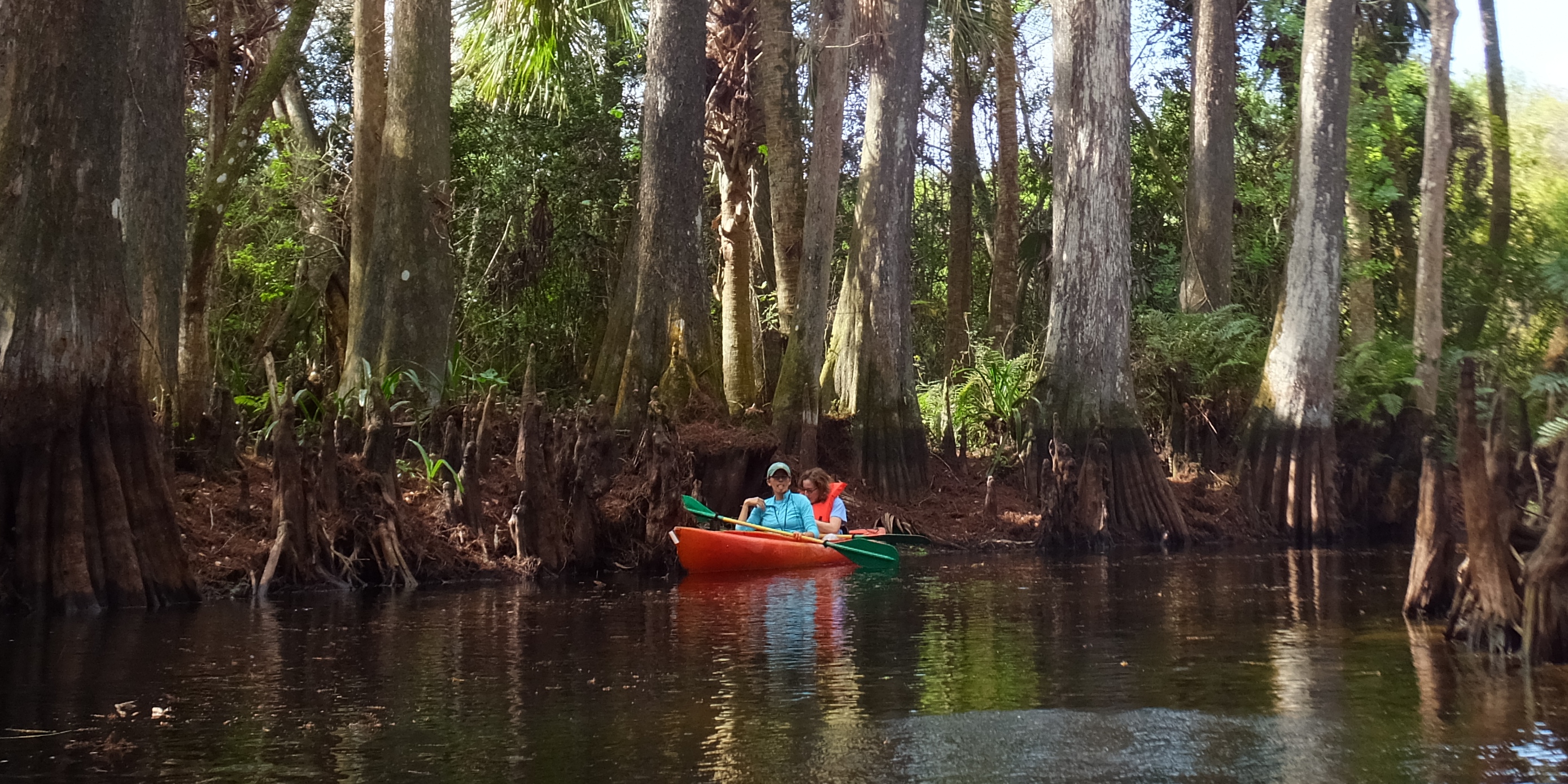 Carmen and Norma paddling on the Loxahatchee River