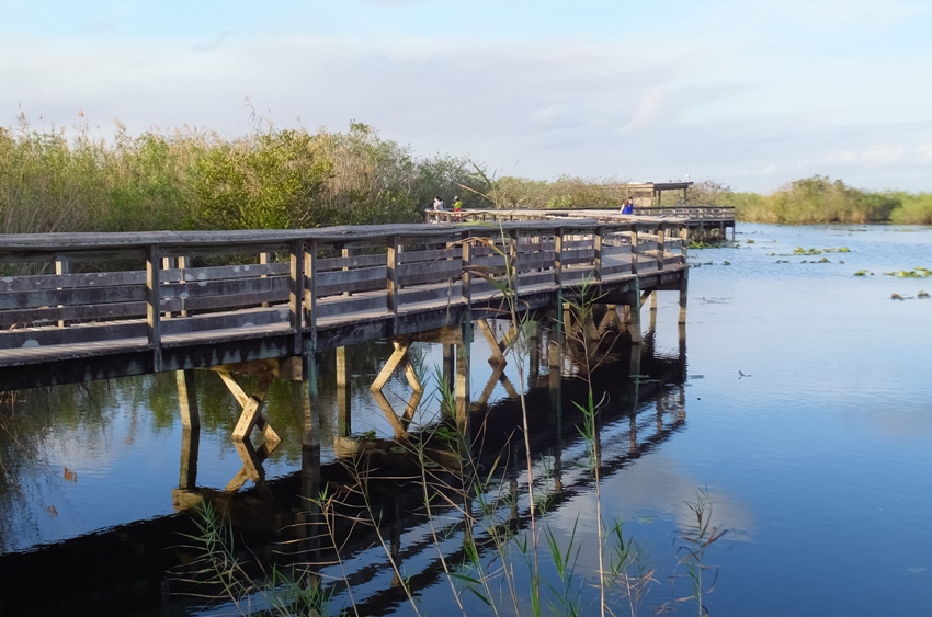 Boardwalk over water