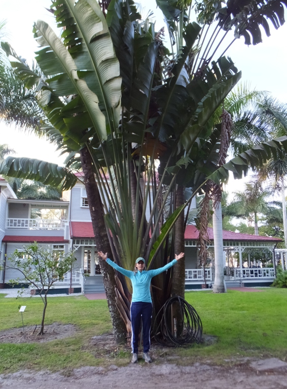 Carmen standing in front of tree with arms outstretched