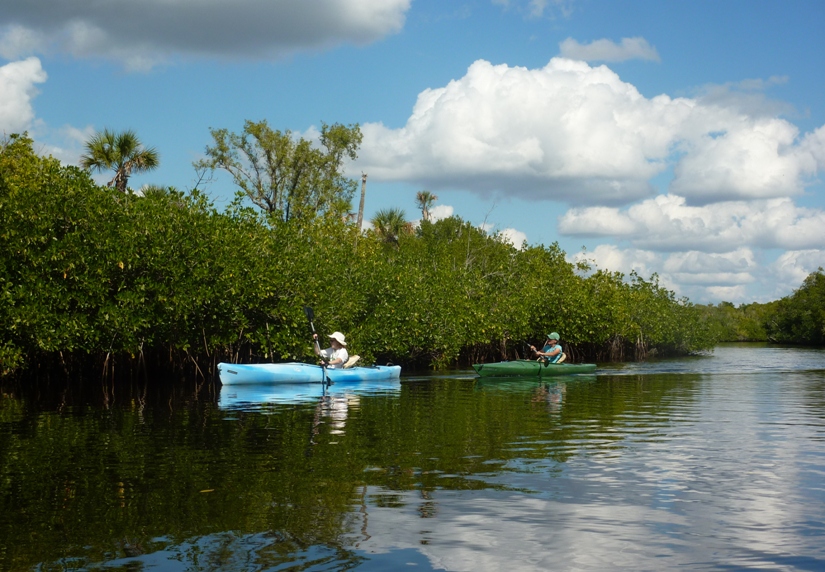 Norma and Carmen kayaking outside the mangroves
