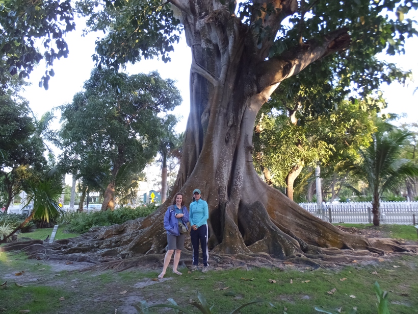 Norma and Carmen in front of tall fig tree