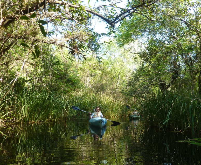 Norma kayaking by mangroves