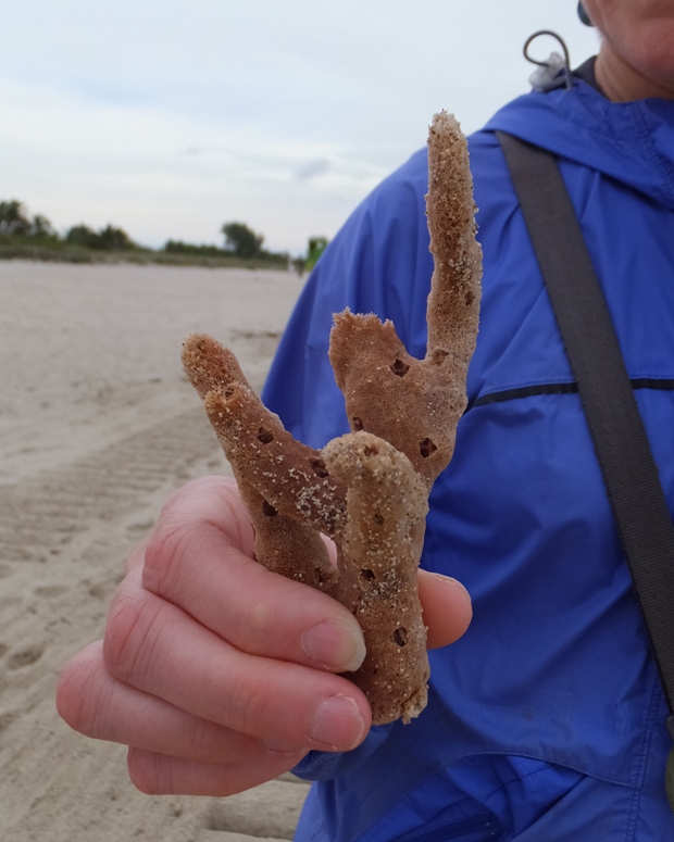 Holding a red finger sponge