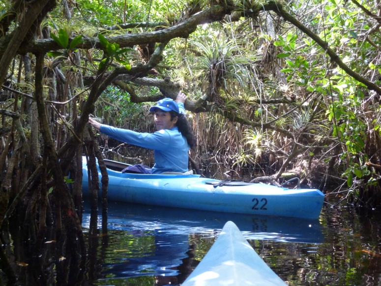 Me propelling the boat forward by grabbing onto limbs