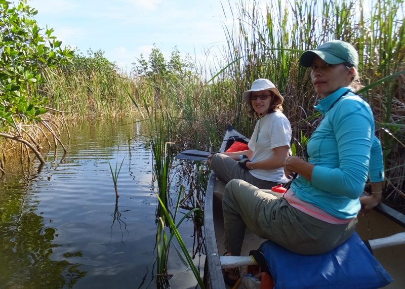 Sawgrass behind Norma and Carmen