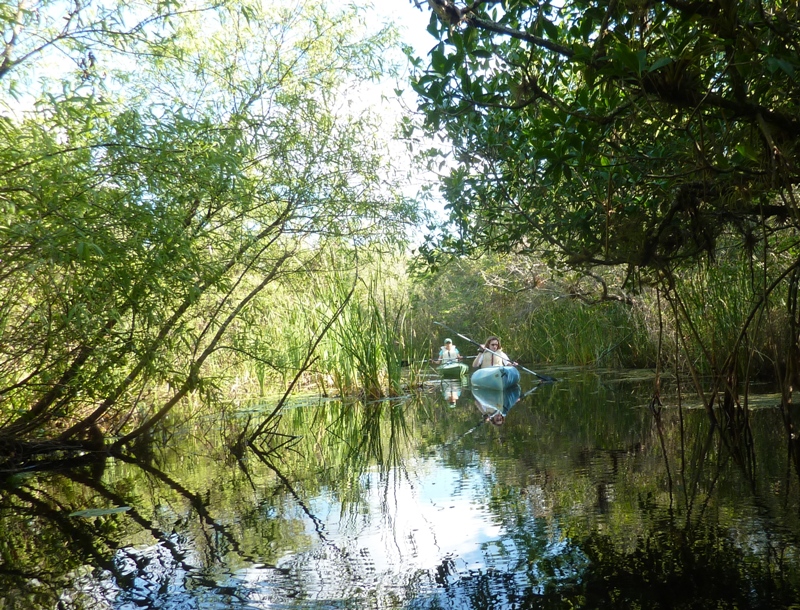 Norma and Carmen paddling in sunny spot