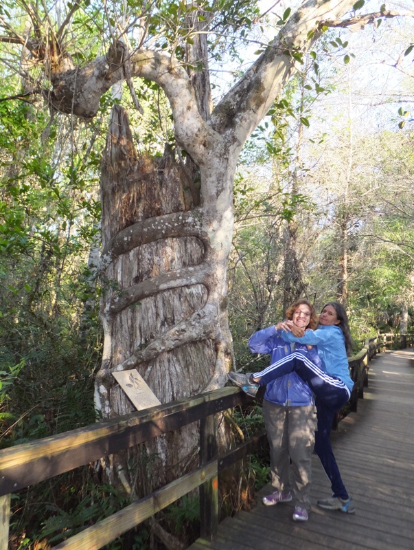 Carmen strangling Norma (jokingly) next to stangler fig tree
