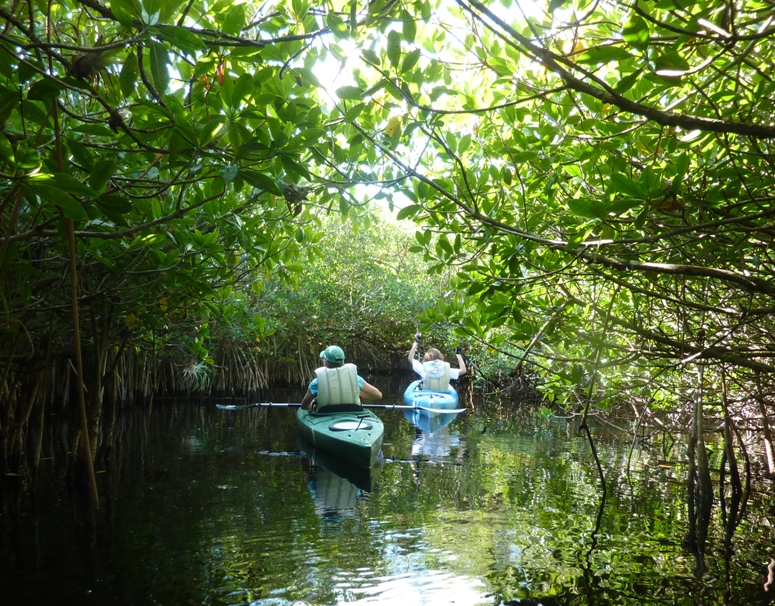 Moving in the kayaks by grabbing branches
