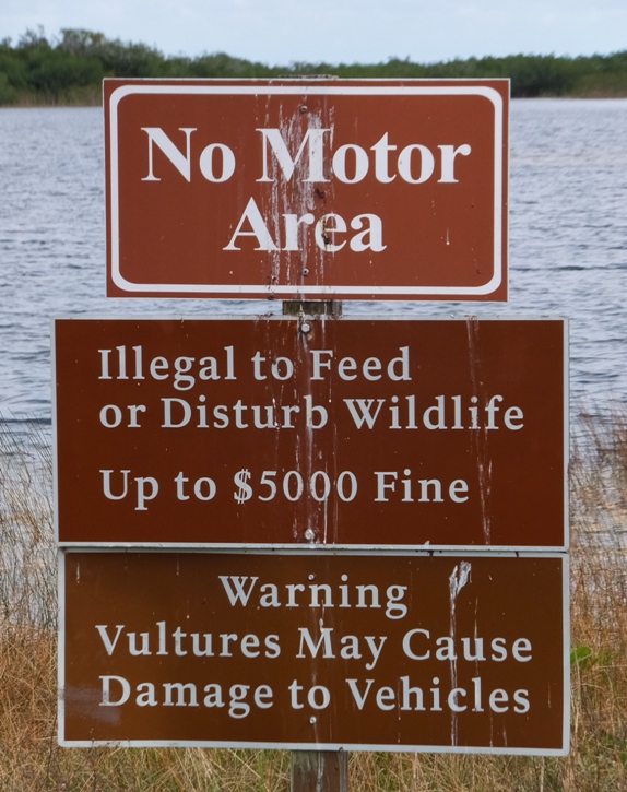 Signs warning about vultures damaging vehicles