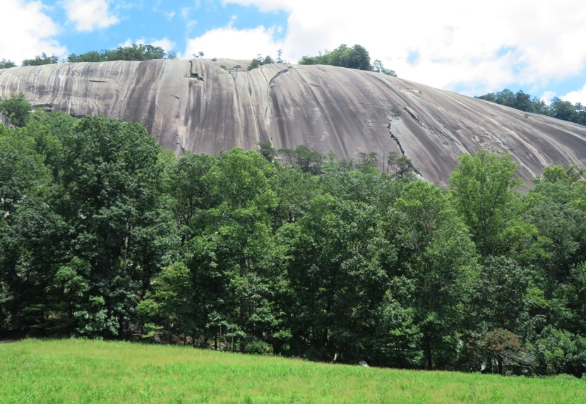Barren, rockiness that rises above the trees