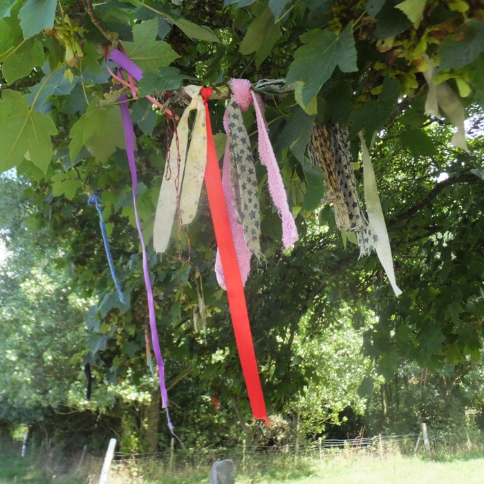 Strips of cloth tied to a tree