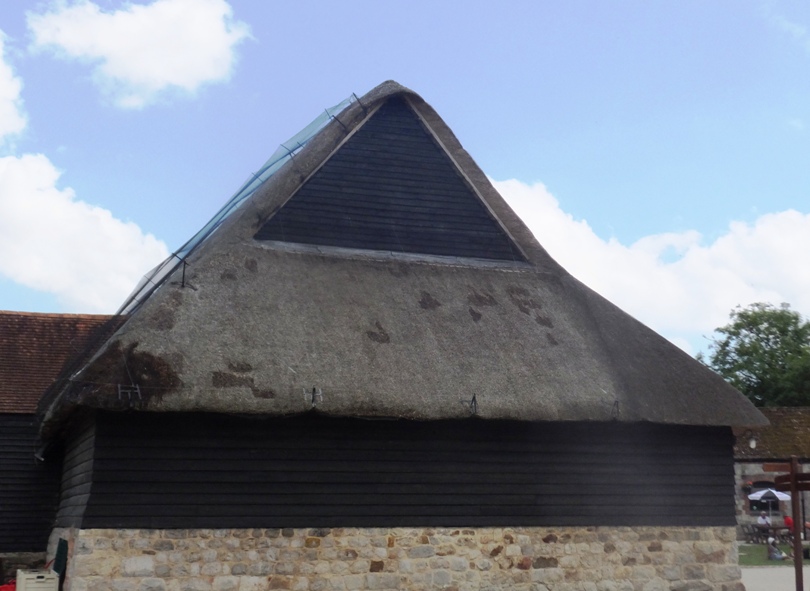 House with thatch roof