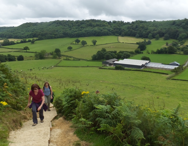 Sara leading Norma and Don up a fern-lined set of stairs