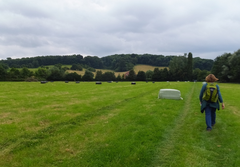 Norma walking by hay field with big square bales