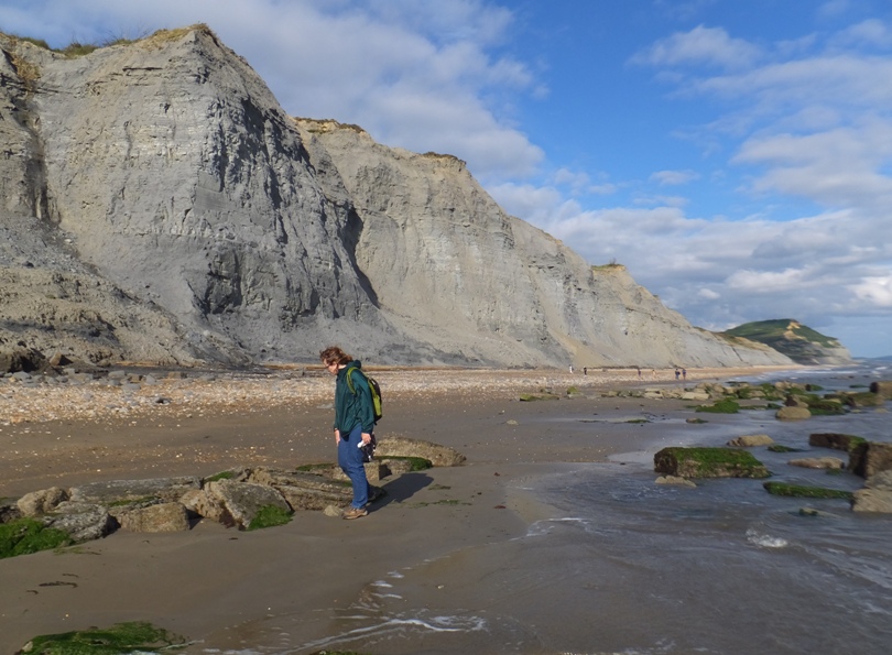 Norma looking for fossils on the beach
