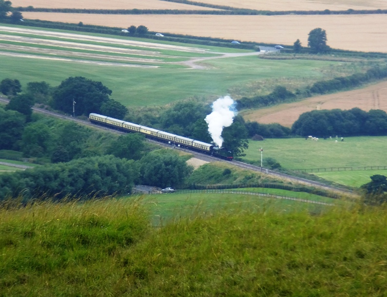 Train passing by emitting white smoke