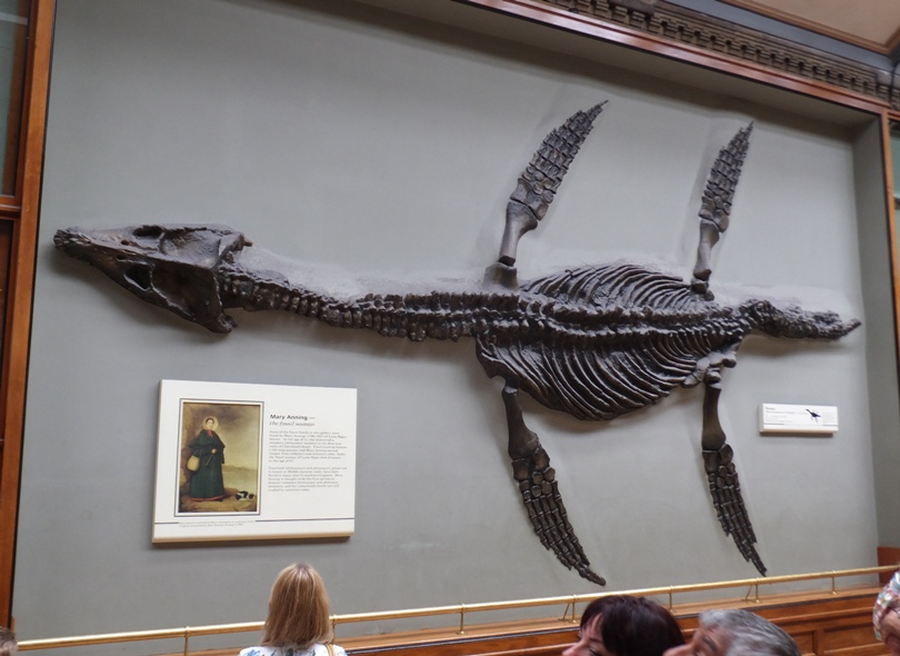 Plesiosaur found a Yorkshire