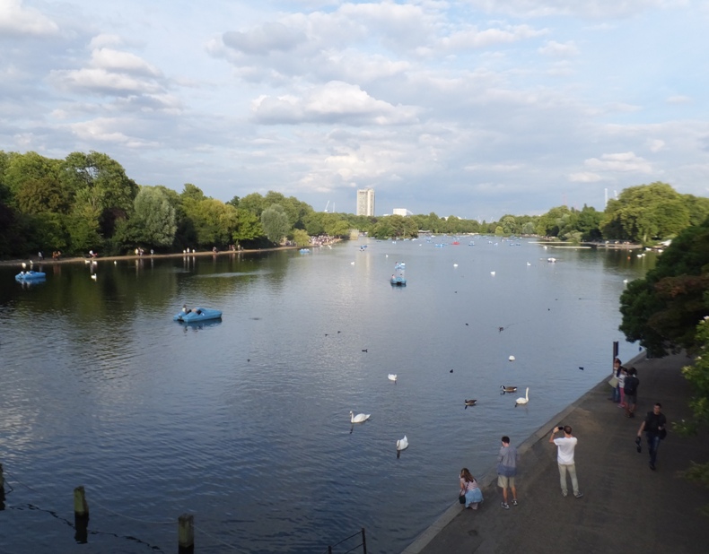 Paddleboats, waterfowl, and people out enjoying the day